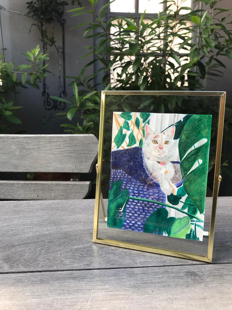 IMG-20210516-WA0007 (1)